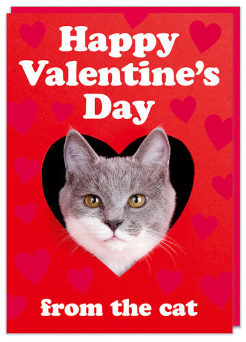 Valentines Day Card - From The Cat